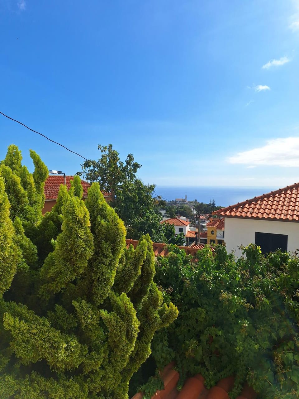Villa Funchal House in Funchal