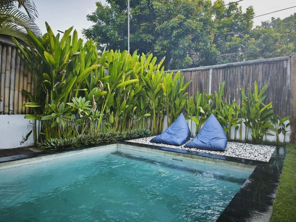 Day, Garden, Swimming pool