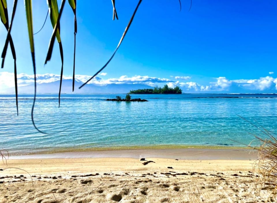 Marū Beach House House in Moorea-Maiao