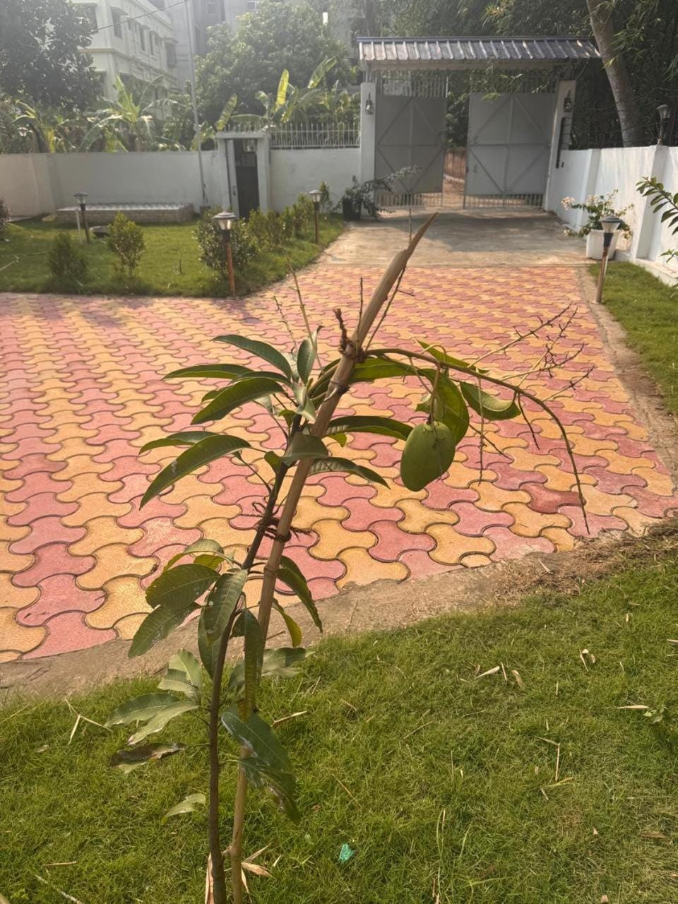 Boutique homestay in Rajarhat with a garden Villa in Kolkata