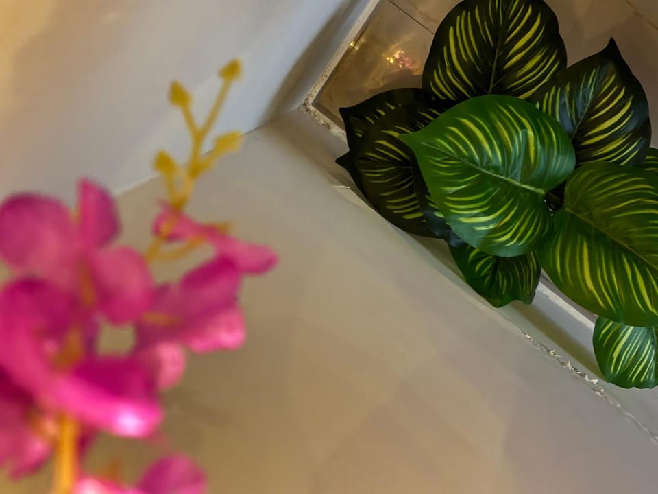 SB Legacy Fireflies Swarm Apartment in Bengaluru