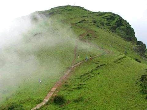 chikmagalurmalnadhomestay-8-1-4-7-4-8-0-5-2-3 Vacation rental in Maharashtra
