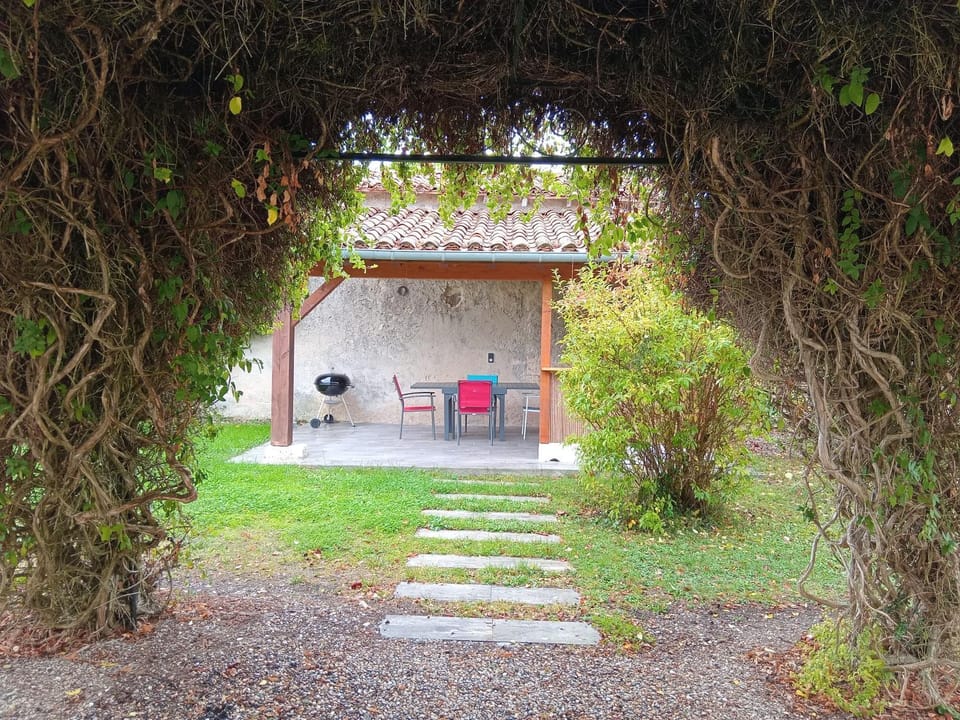 Day, Natural landscape, Garden, Garden view