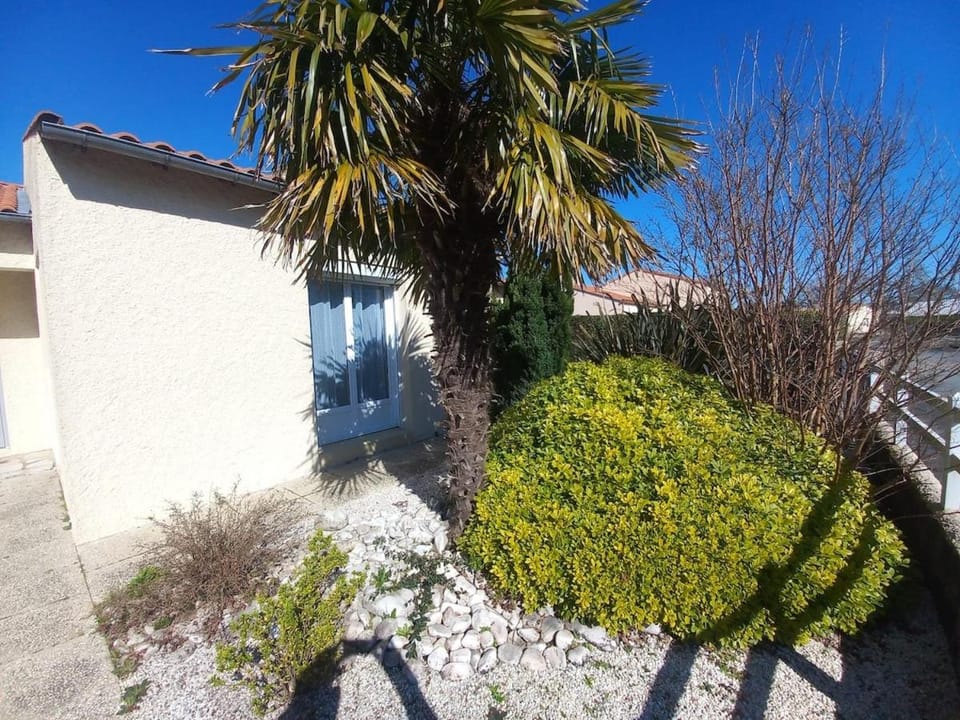 Property building, Spring, Day, Garden, Garden view