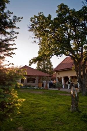 Garden, Sunrise