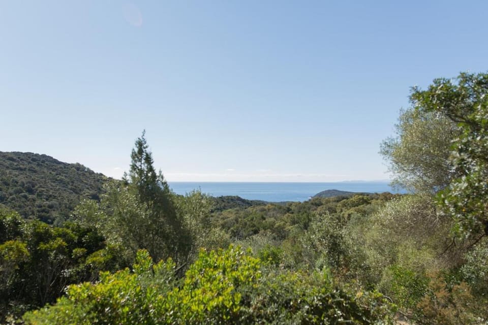 Villa RoccaPina 35 m2 - 2 - 4 people Rondinara, Bonifacio House in Bonifacio