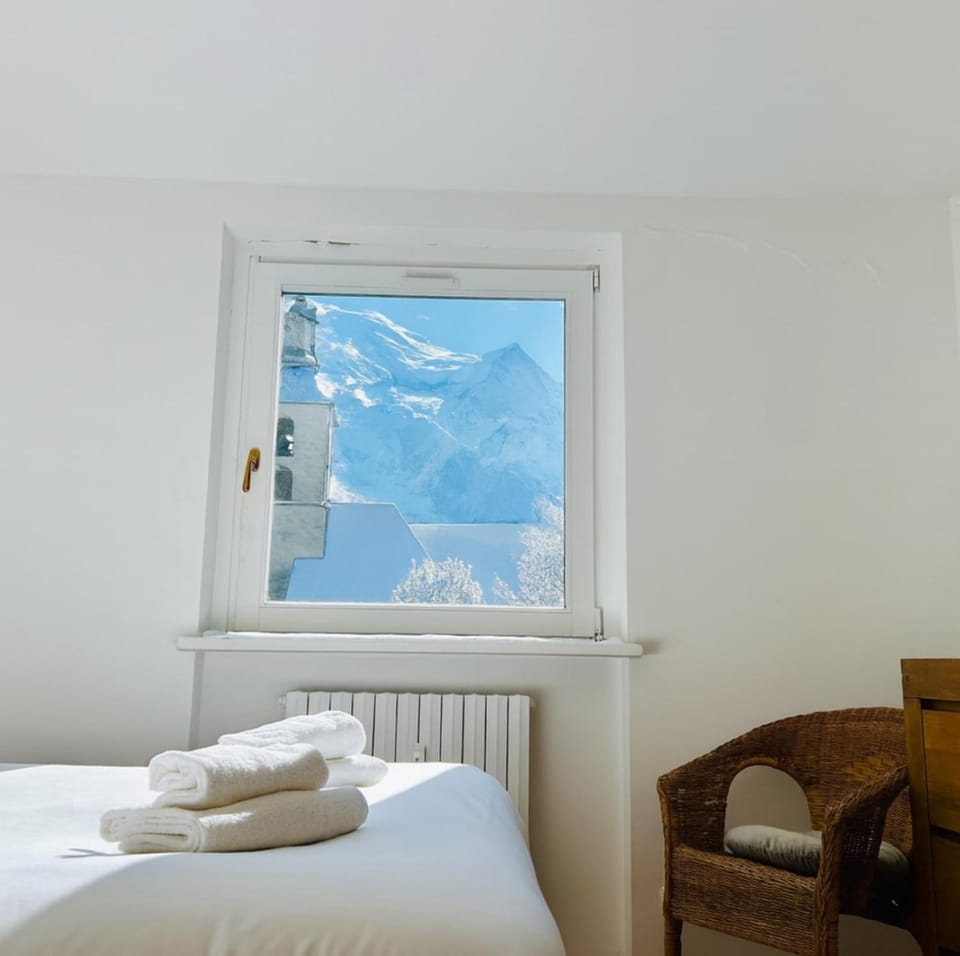 Magical balcony on the Alps cozy alpine charm Apartment in Chamonix