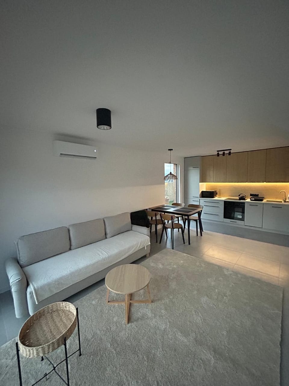 Living room, Seating area, Dining area, air conditioner