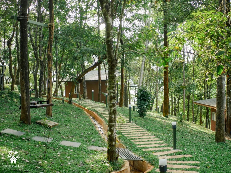 Natural landscape, Garden view