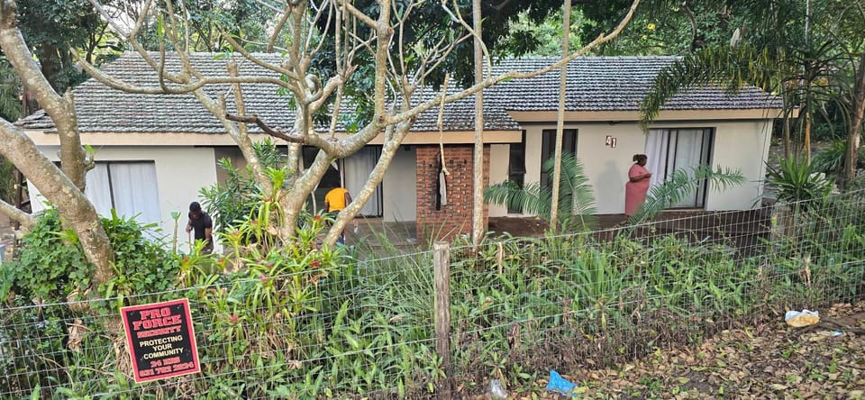 Property building, Day, Garden
