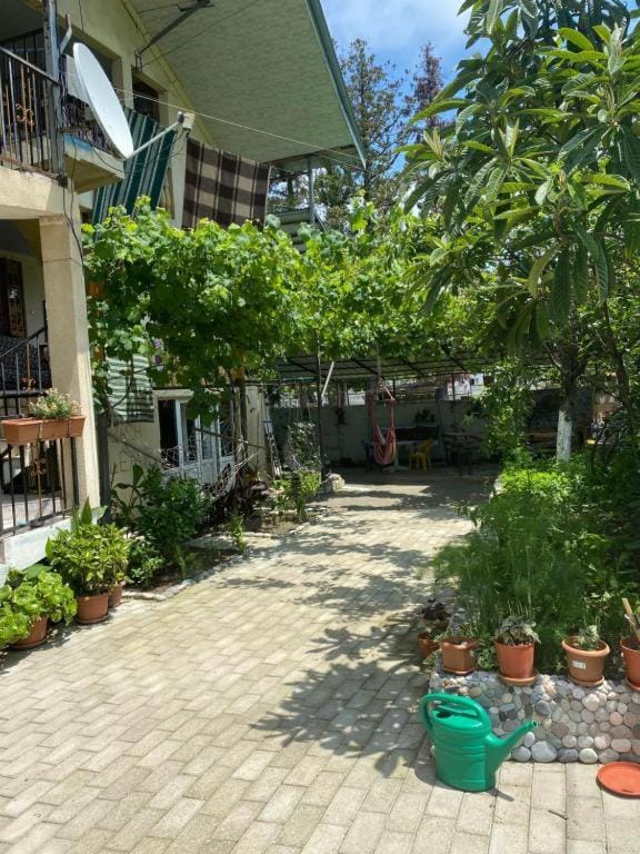 Property building, Garden, Garden view