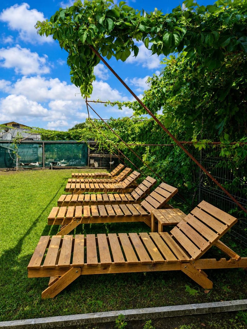 Garden, Garden view