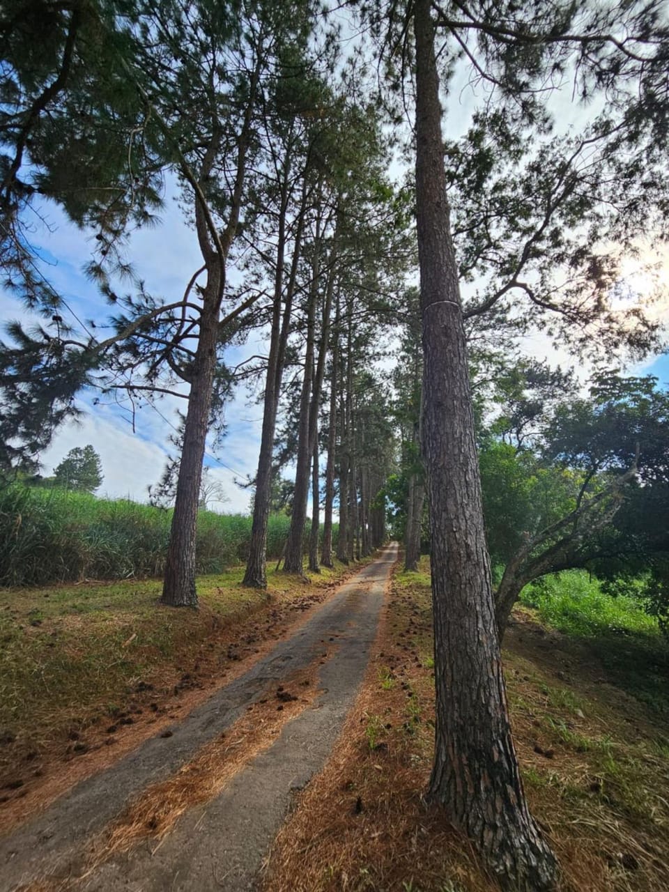Natural landscape