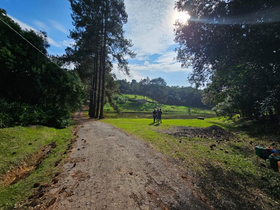 Natural landscape