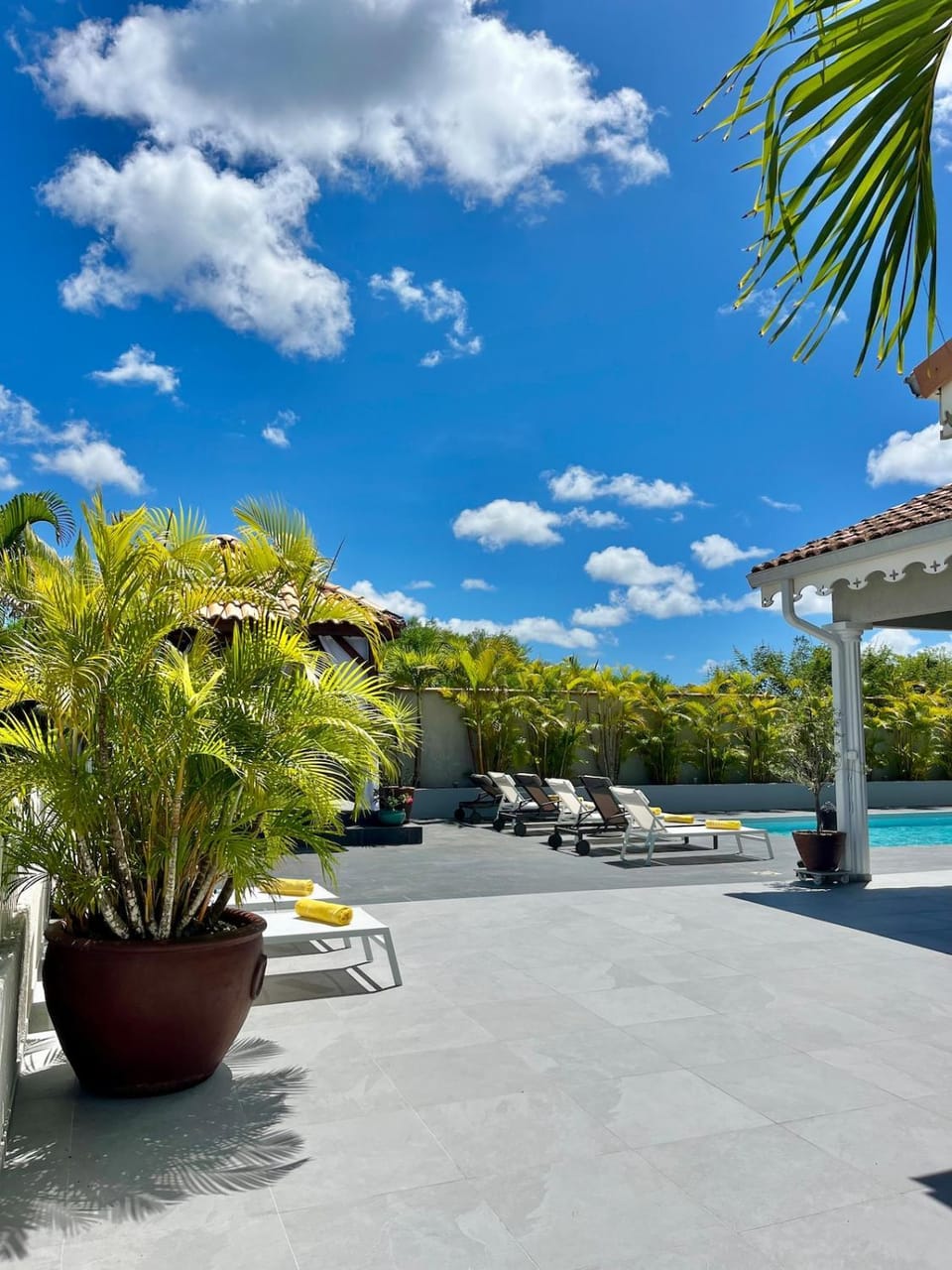 Garden view