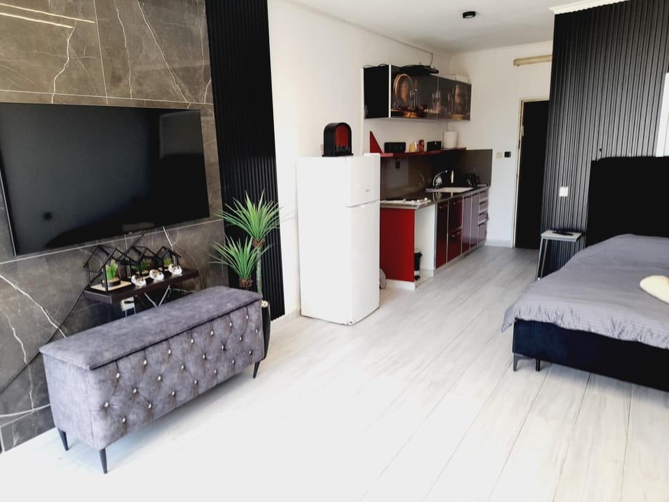 Bed, TV and multimedia, Photo of the whole room