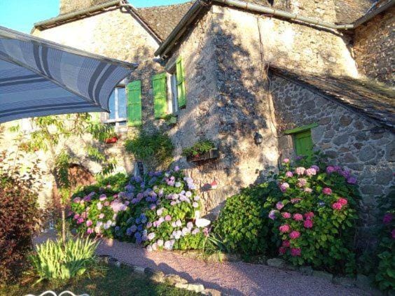 Manoir Les Hortensias House in Occitanie