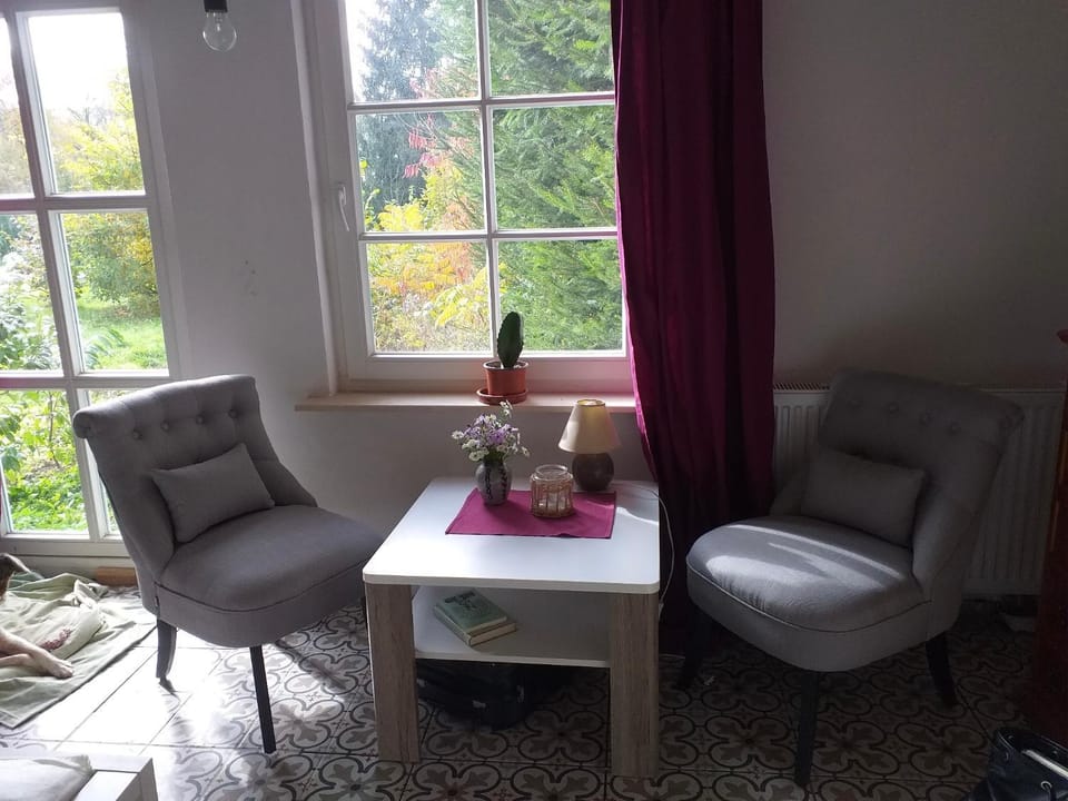 Alt Dwinge Apartment in Thuringia, Germany