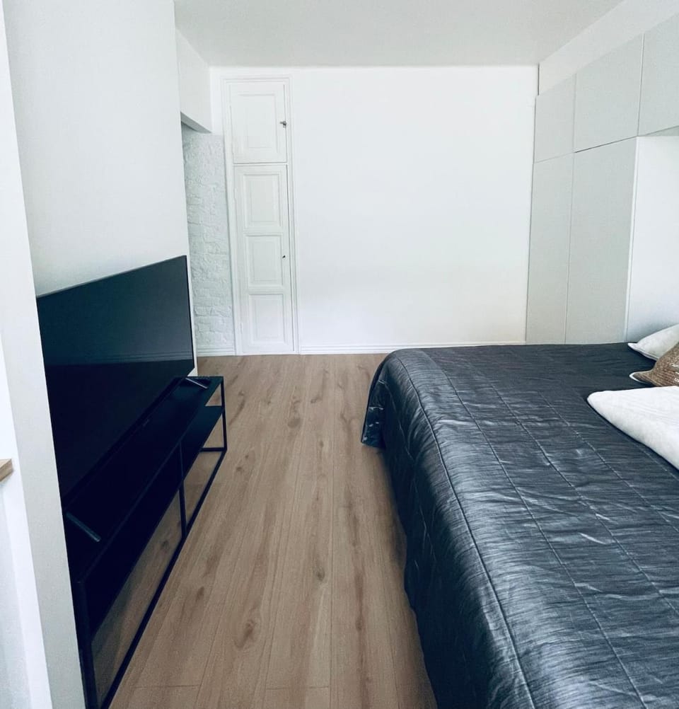 Cozy apartment in the best location at city center Apartment in Helsinki