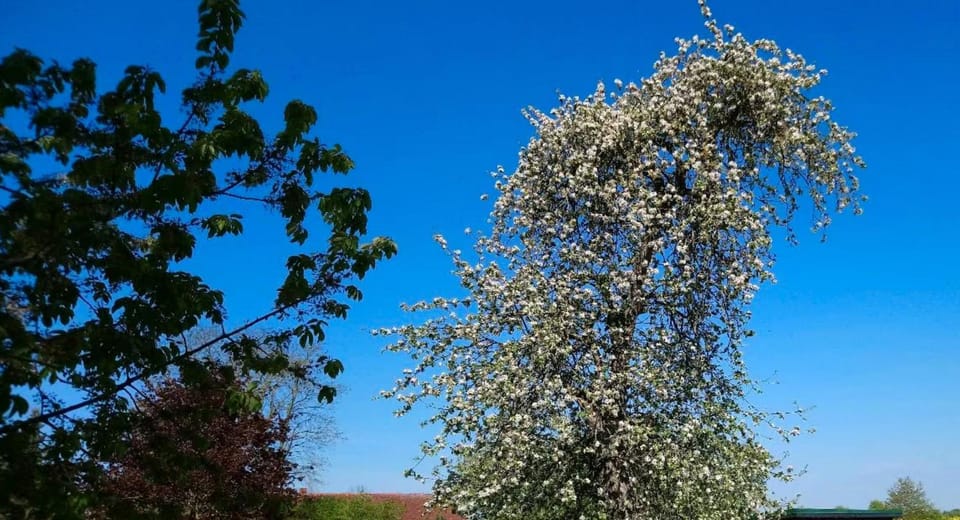 Appartamento Frignano Apartment in Campania