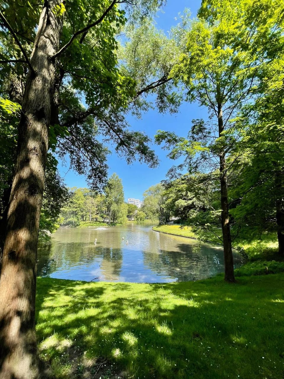 Nearby landmark, Natural landscape