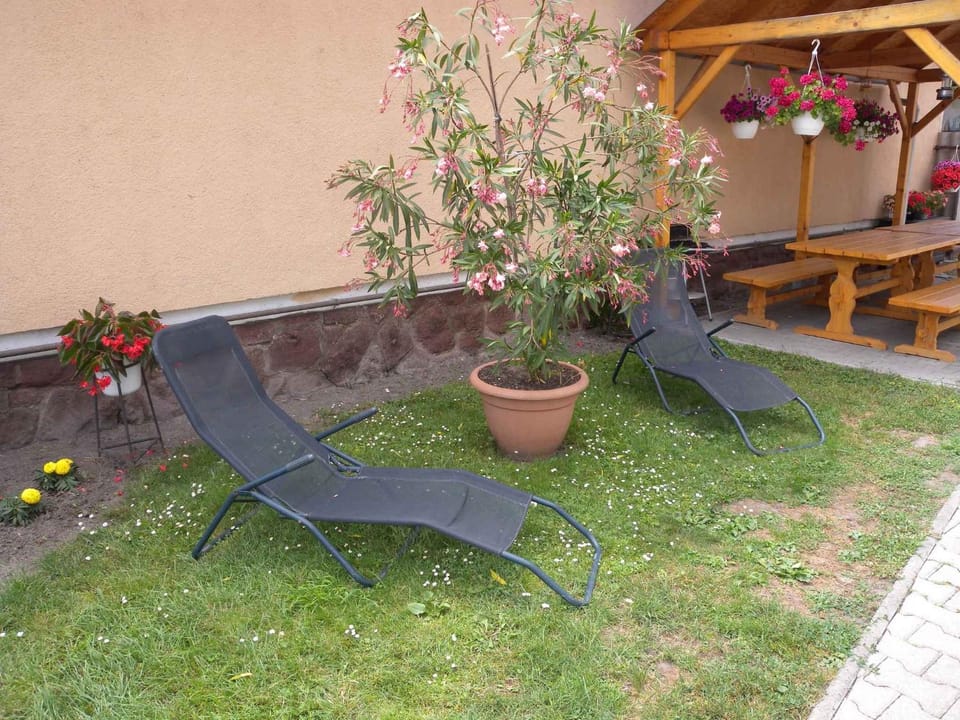 Summer, Garden