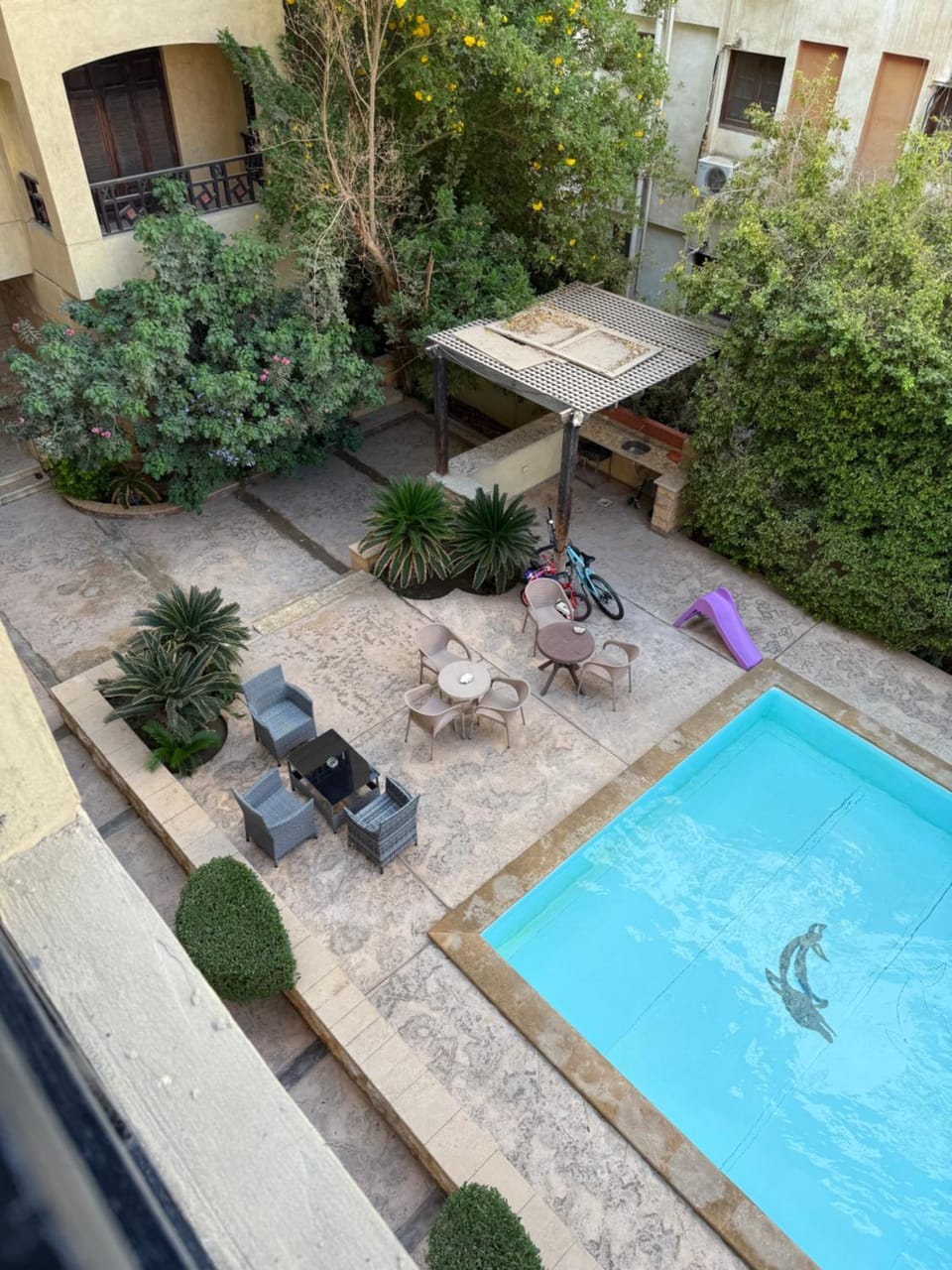 Patio, Day, Garden, Garden view, Pool view, Swimming pool, sunbed
