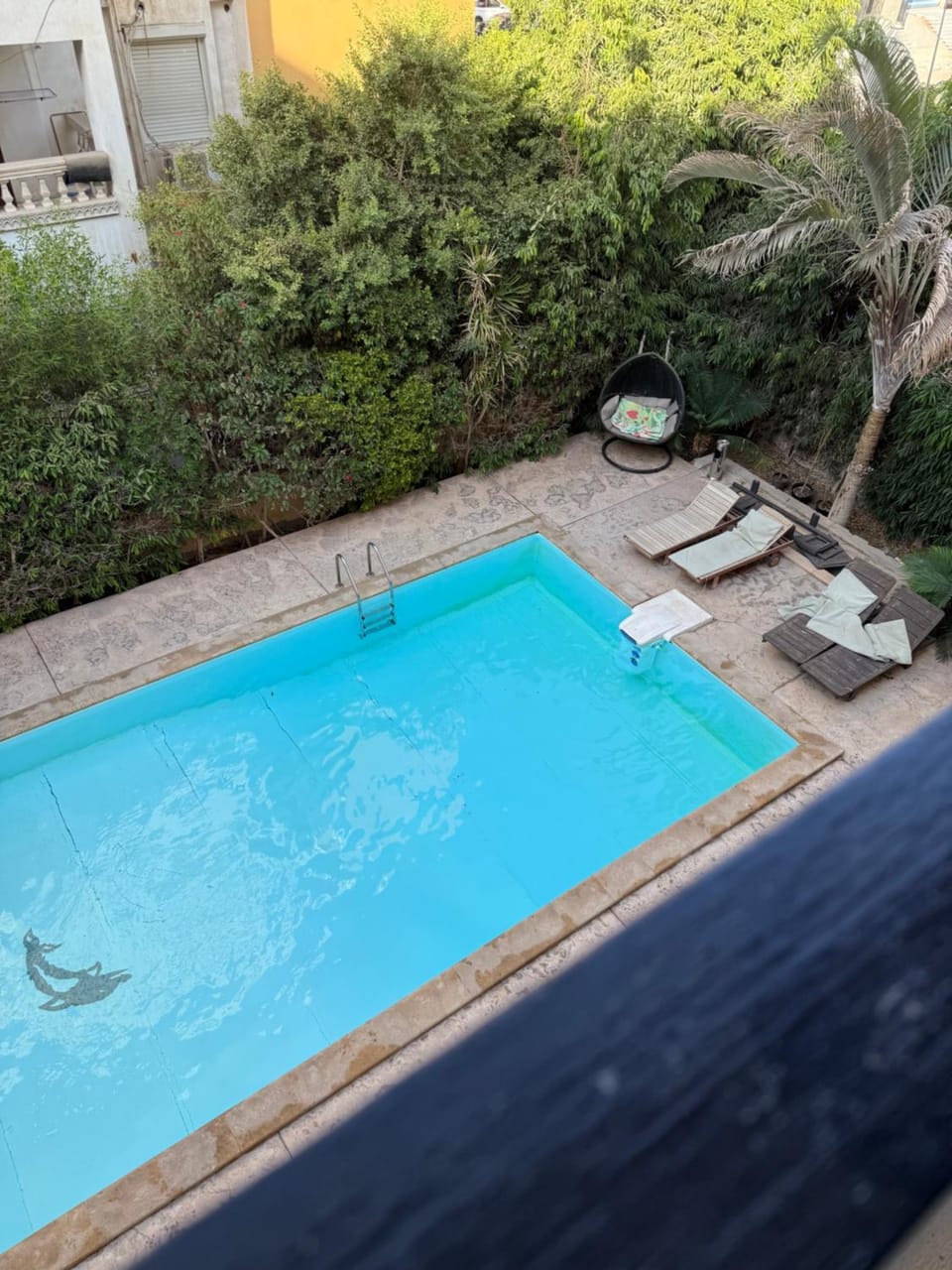 Swimming pool, Swimming pool