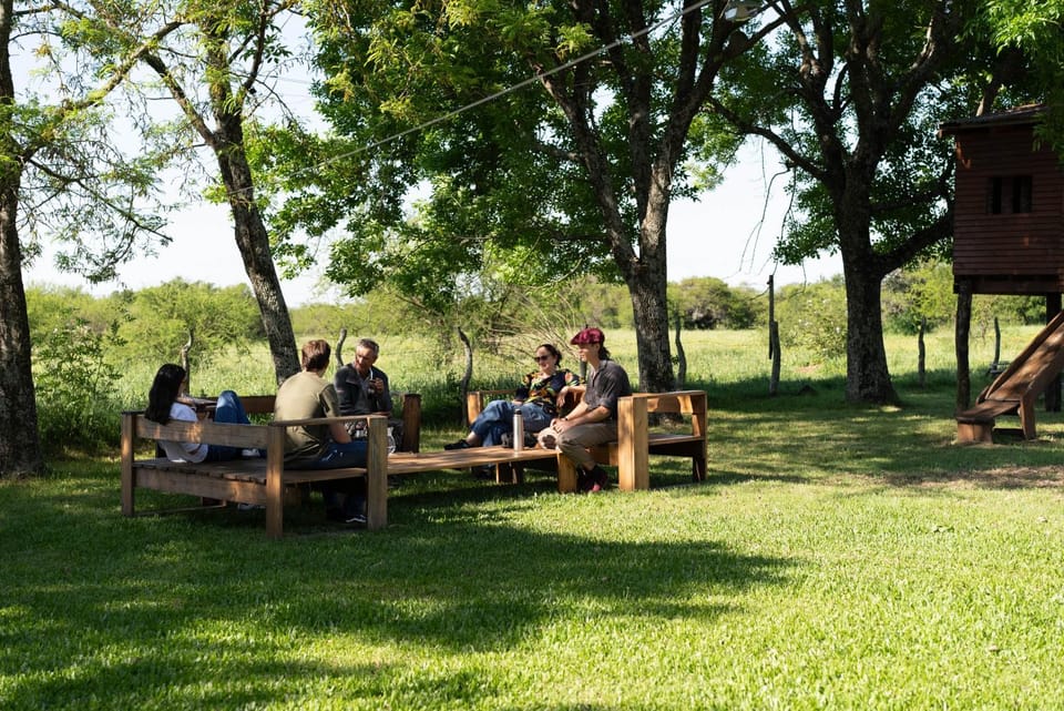 Spring, Day, People, Natural landscape, Garden view, group of guests