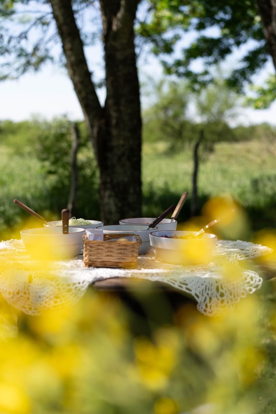 Food, Garden view