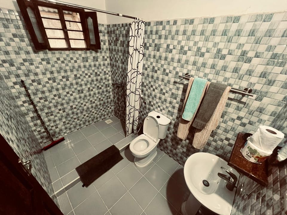 Shower, Toilet, Bathroom, towels