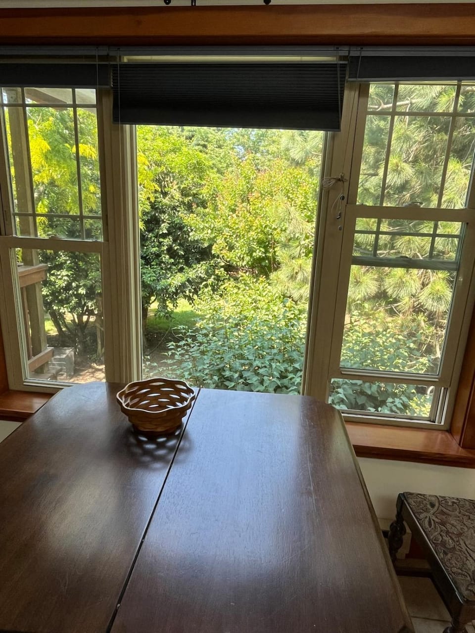 Art and Book Lovers Apartment in Eugene