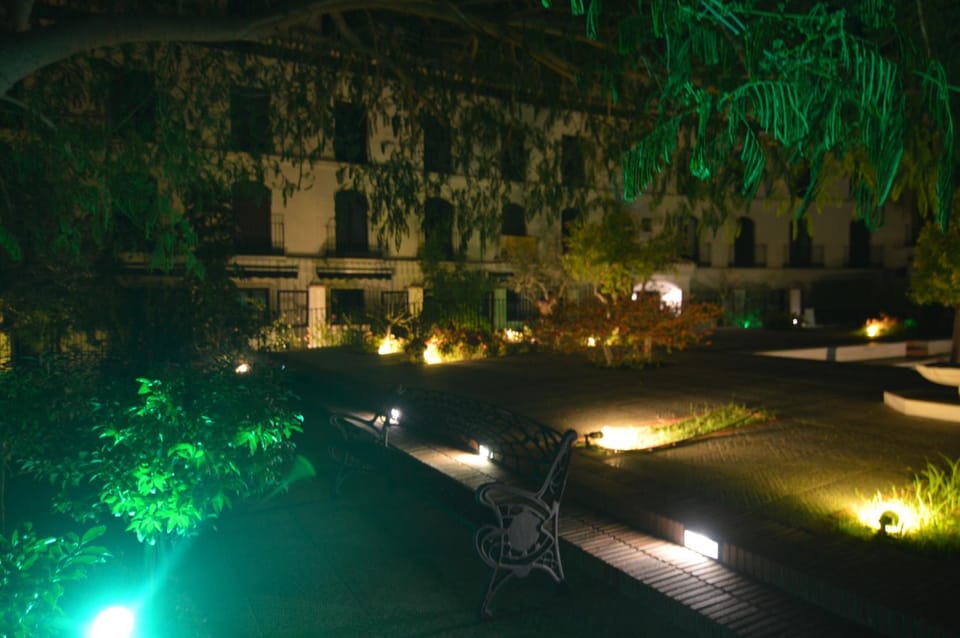 Garden view