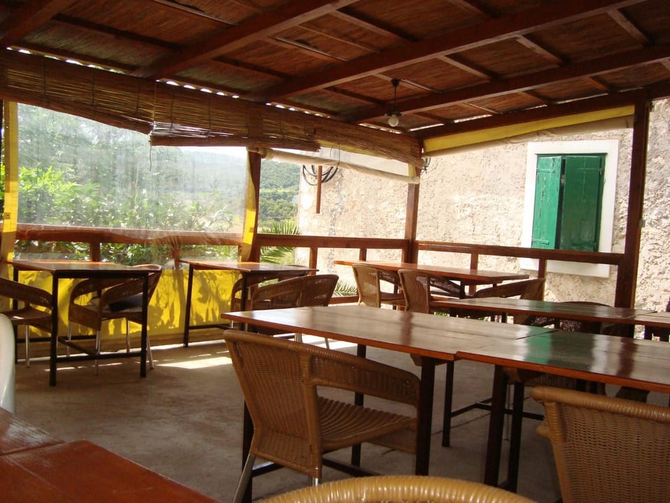 Patio, Day