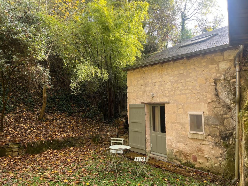 Property building, Garden, Garden view