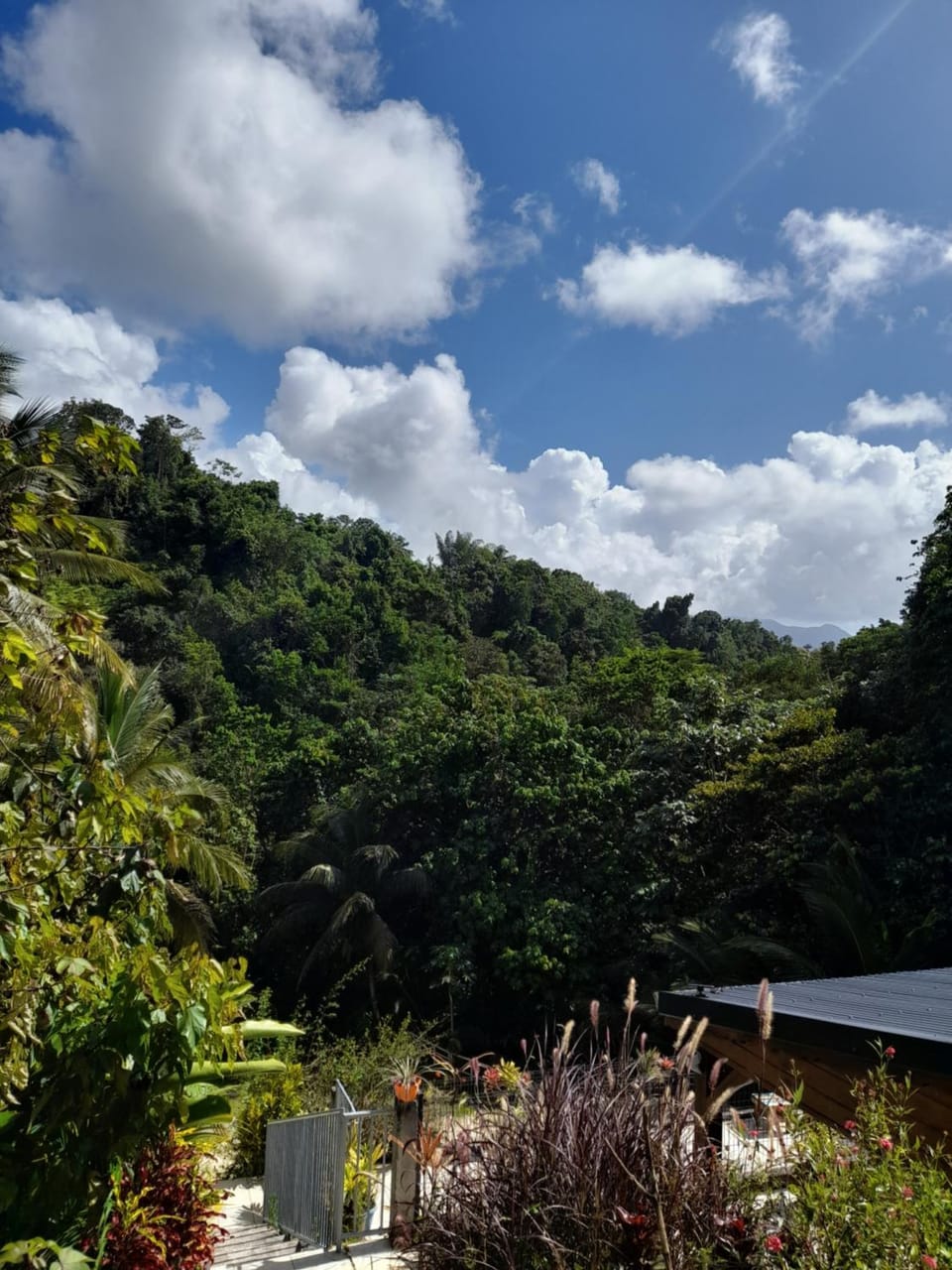 View (from property/room)