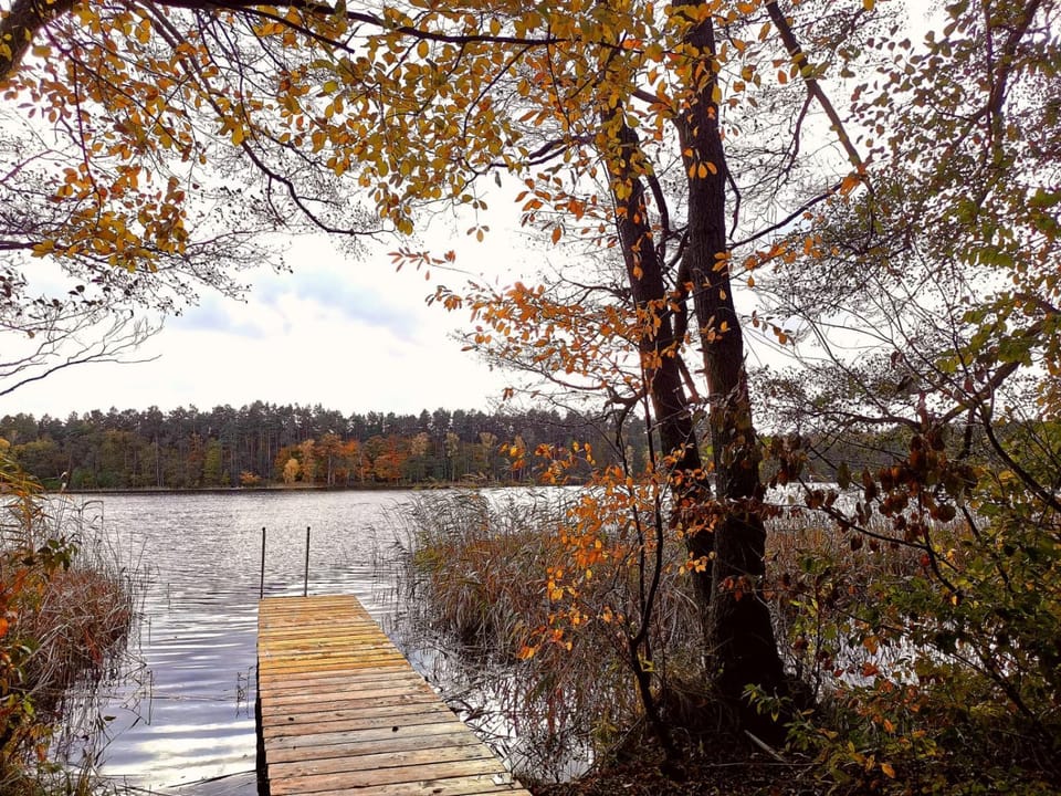 Lake view
