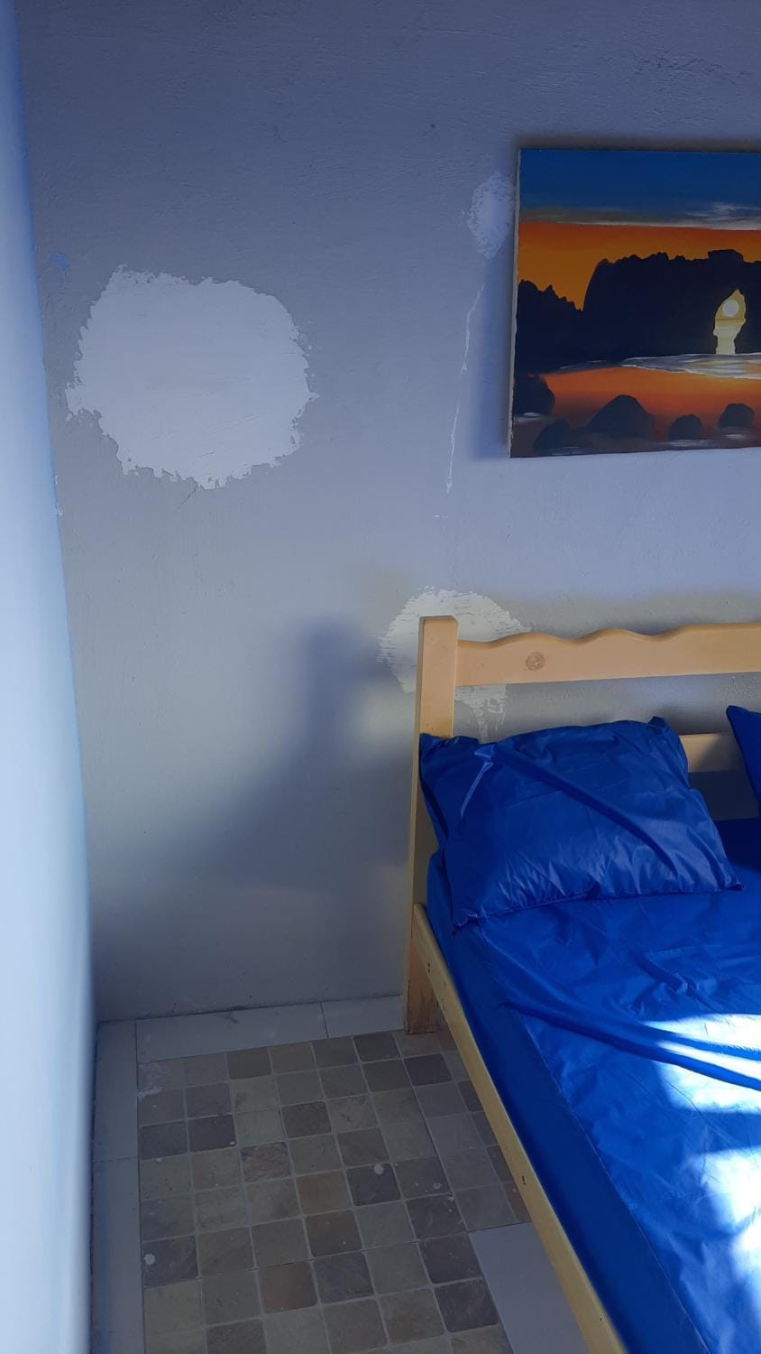 Hostel Green house beach Bed and Breakfast in Jericoacoara