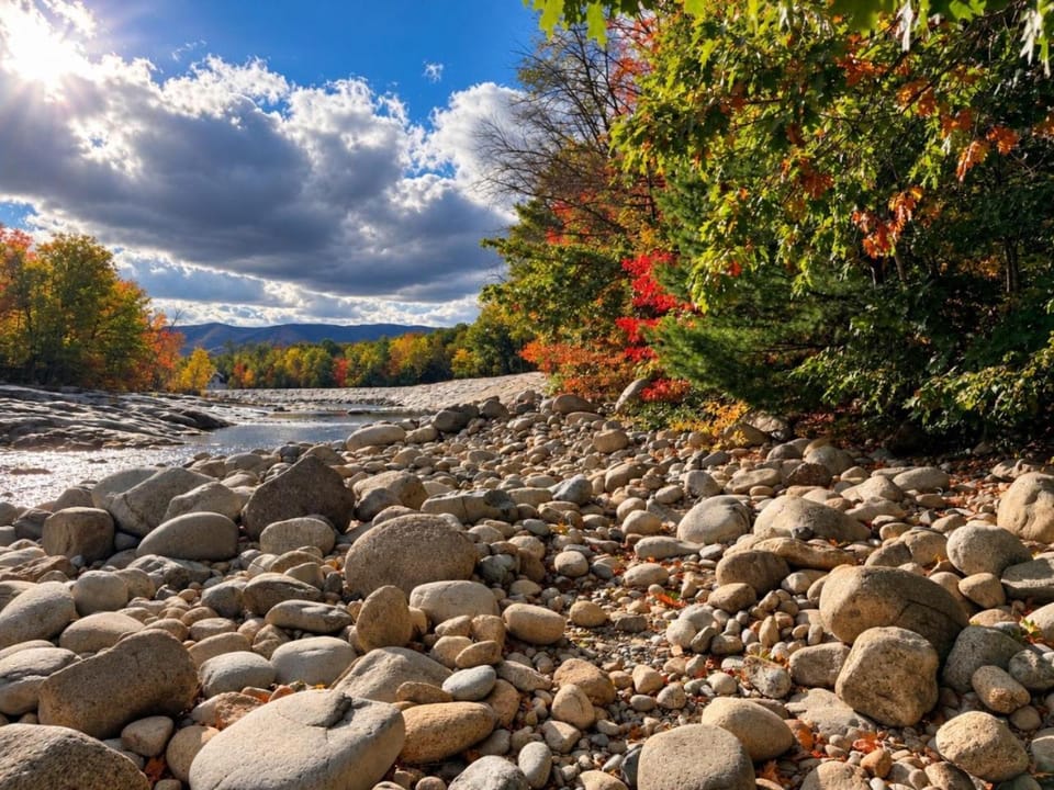 Natural landscape, River view