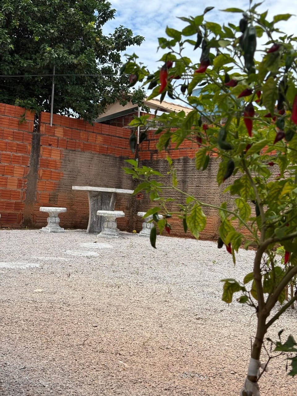 Spring, Day, Garden, Garden view