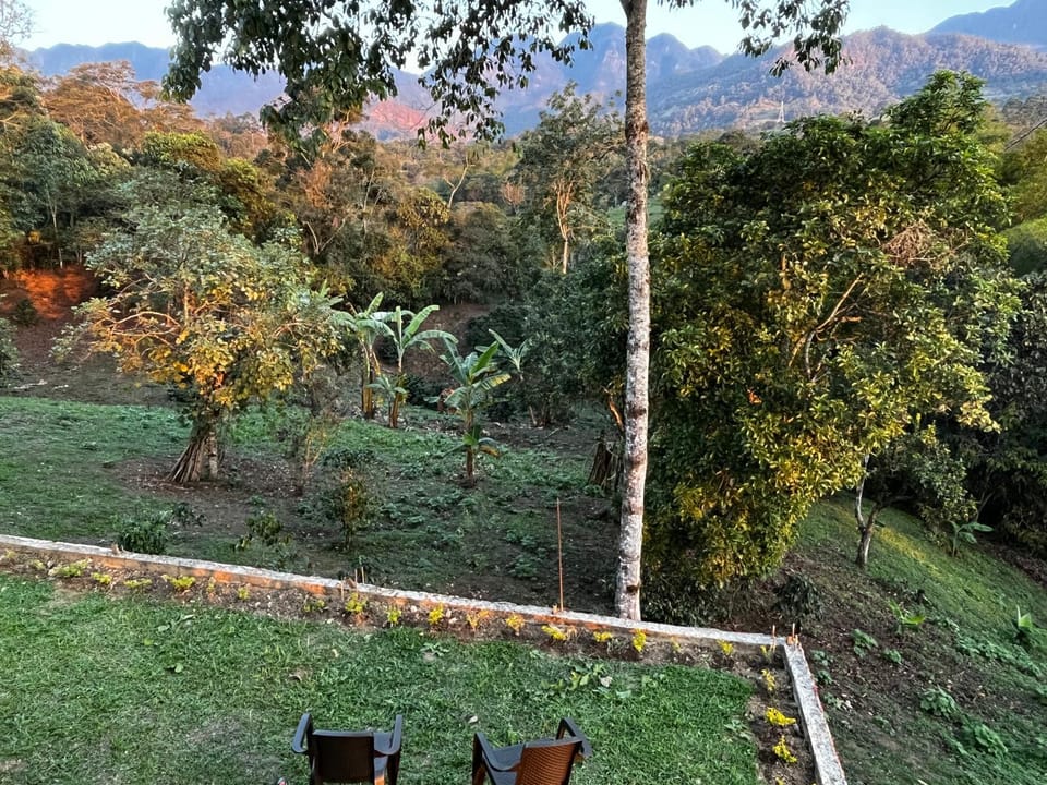 Garden, Garden view