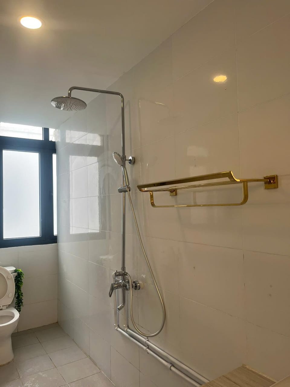 Shower, Toilet