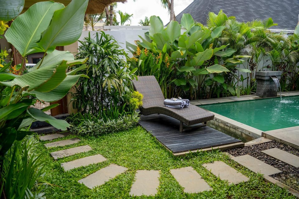 Natural landscape, Garden