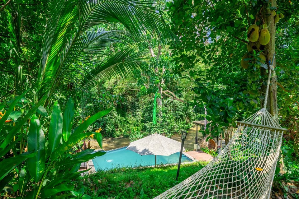 Natural landscape, Garden, Garden view