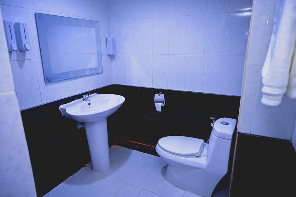Toilet, Bathroom, towels