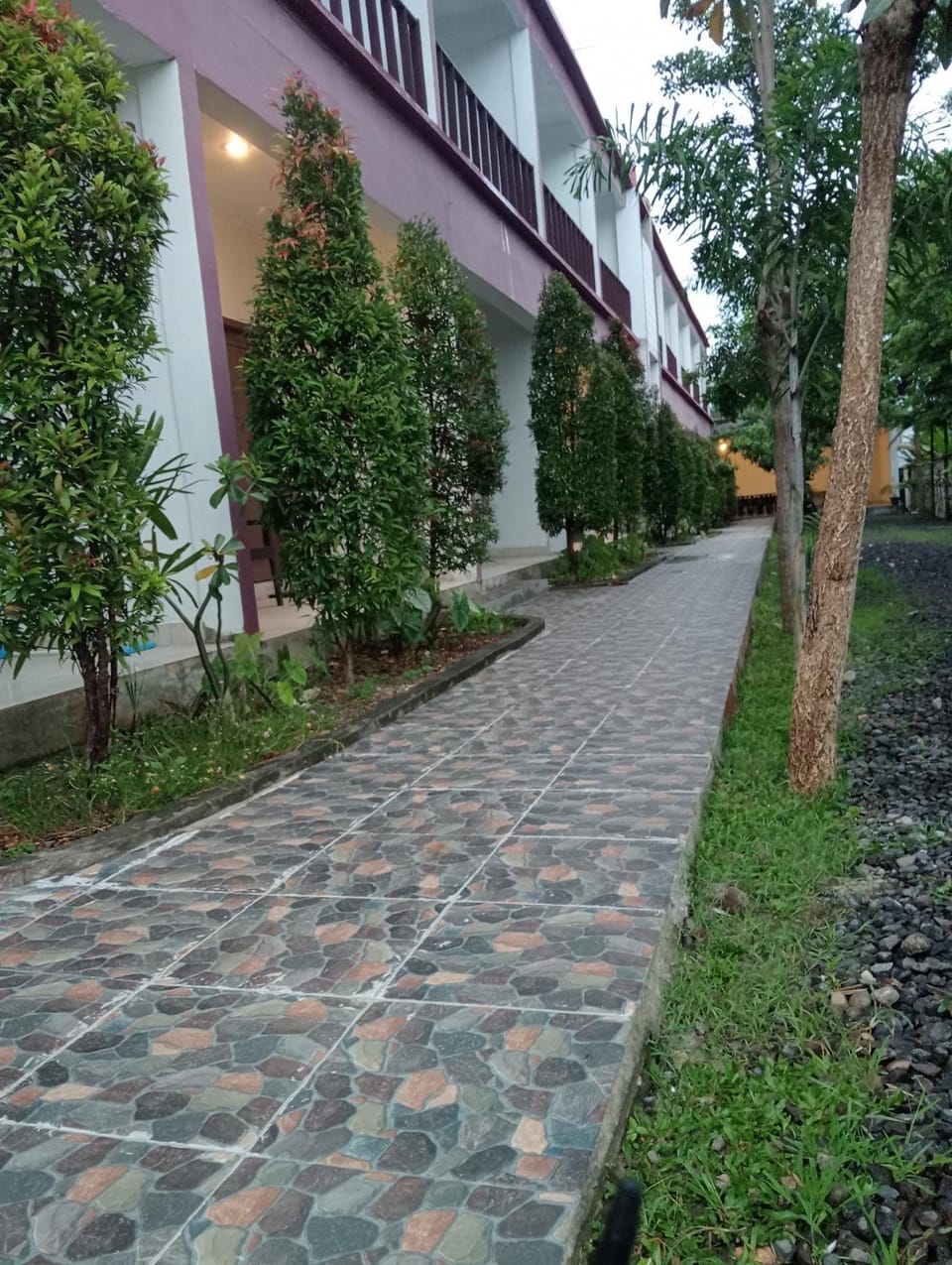Property building, Garden, Garden view
