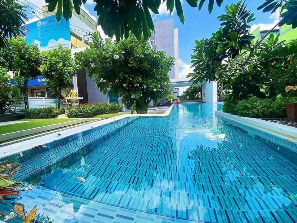Day, Garden, Garden view, Pool view, Swimming pool