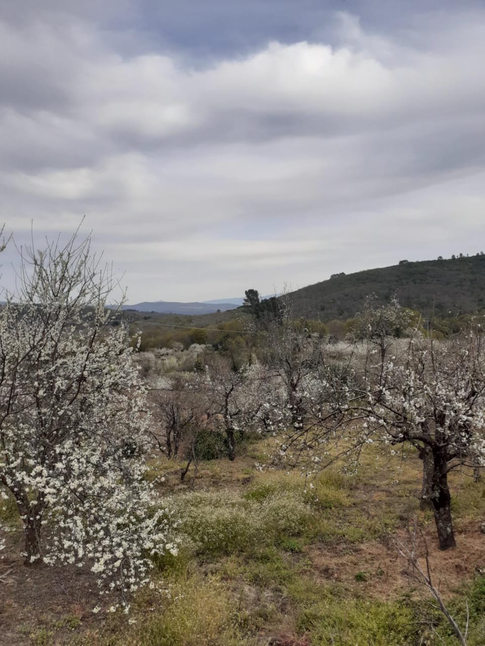 Casa Belen I y II Country House in Extremadura, Spain