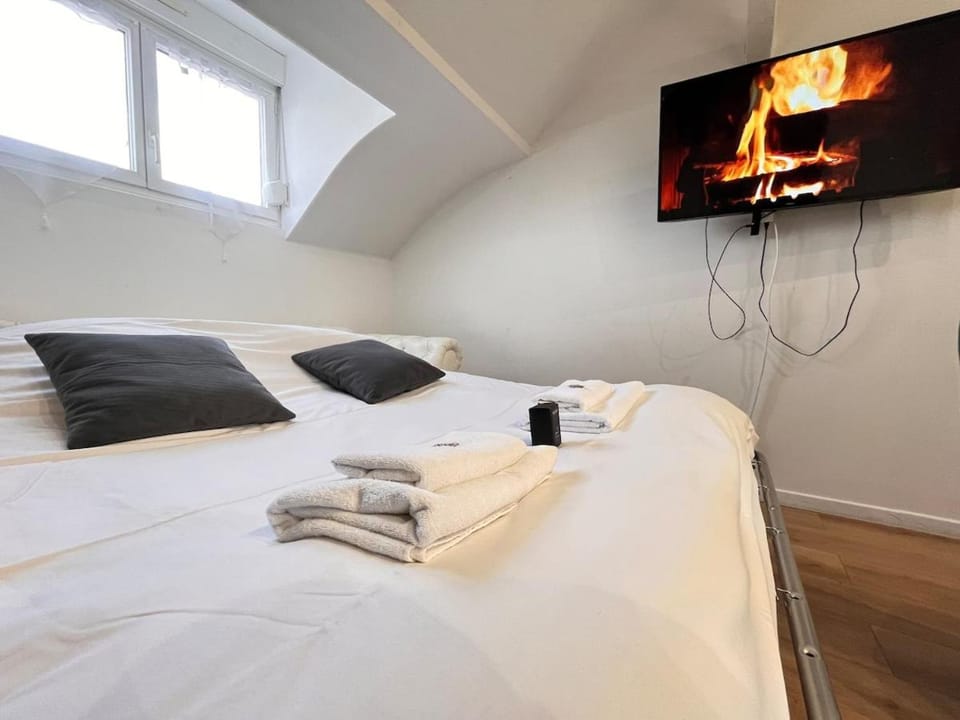 E - Le loft in Epernay T2 au cœur du centre ville Apartment in Epernay