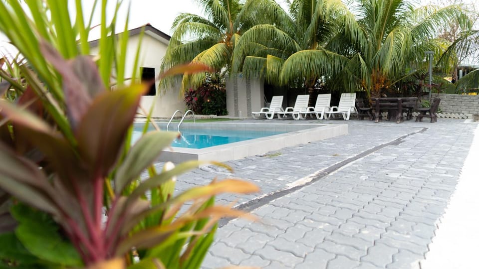 Property building, Swimming pool, Swimming pool